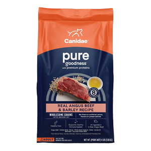 CANIDAE PURE with Wholesome Grains Real Beef & Barley Recipe Adult Dry Dog Food